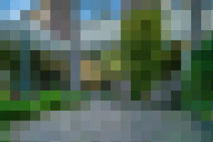Zonegge 19 7 Zevenaar thumbnail 27