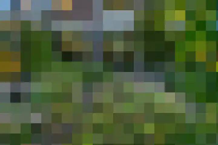 Zonegge 19 7 Zevenaar thumbnail 28