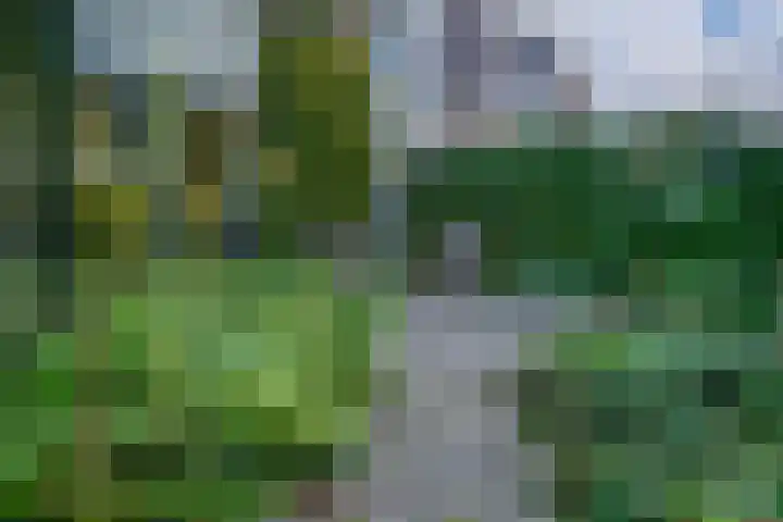 Zonegge 19 7 Zevenaar thumbnail 30
