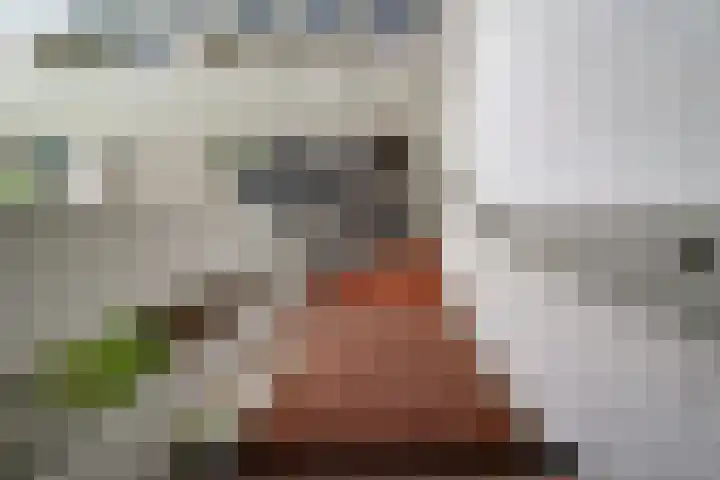 Zonegge 19 7 Zevenaar thumbnail 32