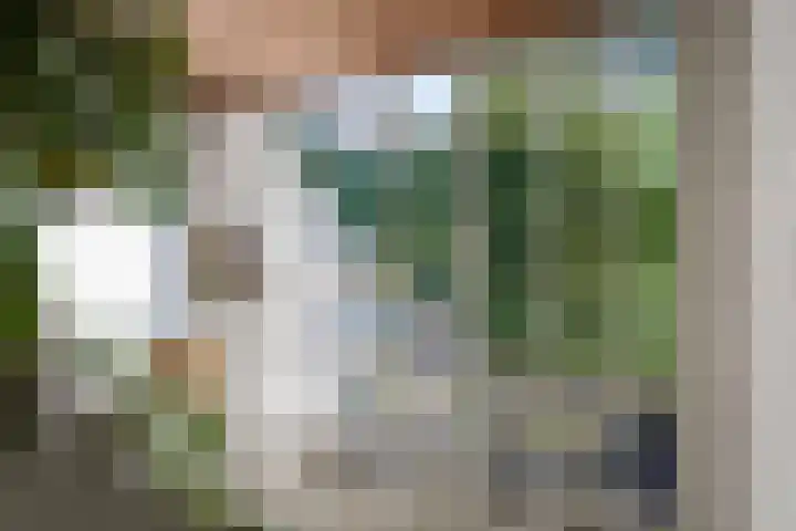 Zonegge 19 7 Zevenaar thumbnail 35