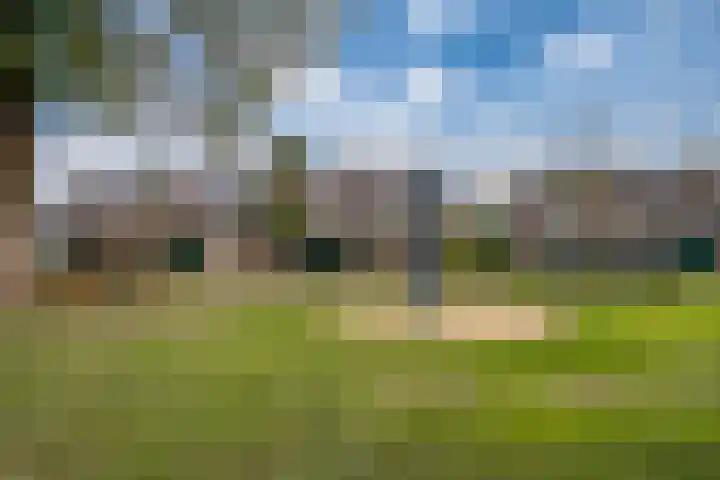 Zonegge 19 7 Zevenaar thumbnail 4