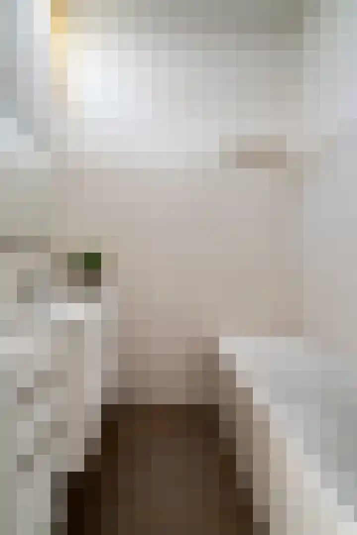 Zonegge 19 7 Zevenaar thumbnail 43
