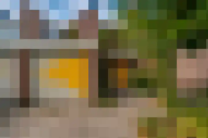 Zonegge 19 7 Zevenaar thumbnail 5