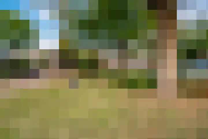 Zonegge 19 7 Zevenaar thumbnail 57