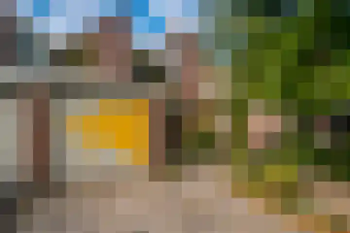 Zonegge 19 7 Zevenaar thumbnail 58