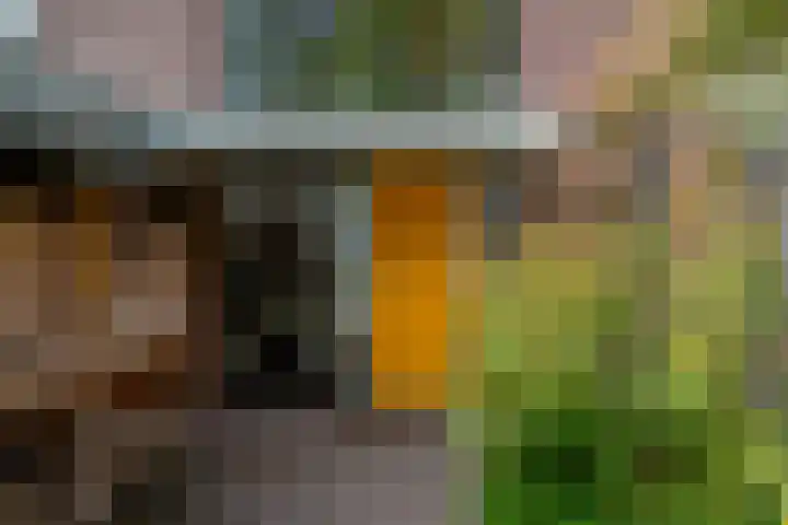 Zonegge 19 7 Zevenaar thumbnail 6