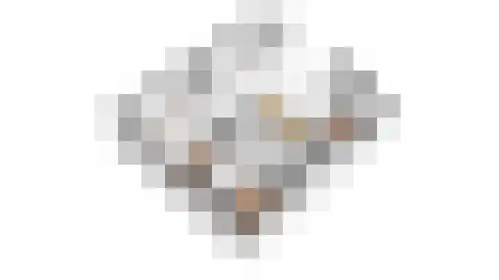 Zonegge 19 7 Zevenaar thumbnail 64