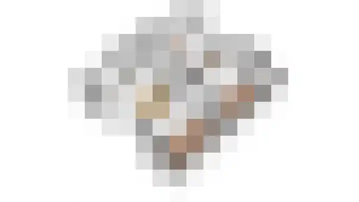 Zonegge 19 7 Zevenaar thumbnail 65