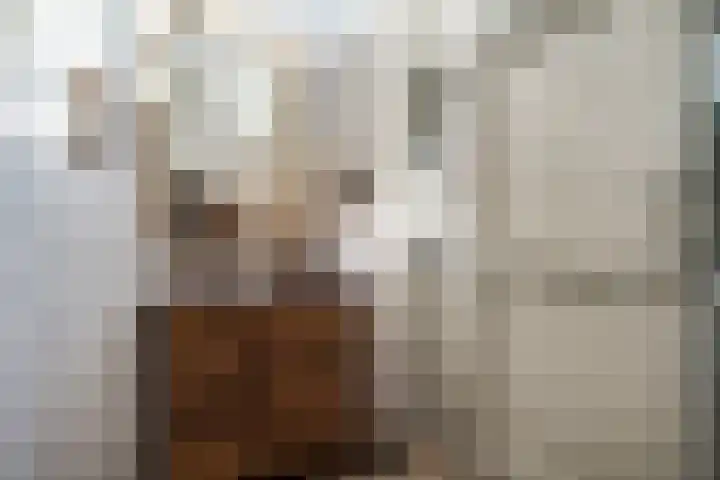 Zonegge 19 7 Zevenaar thumbnail 8