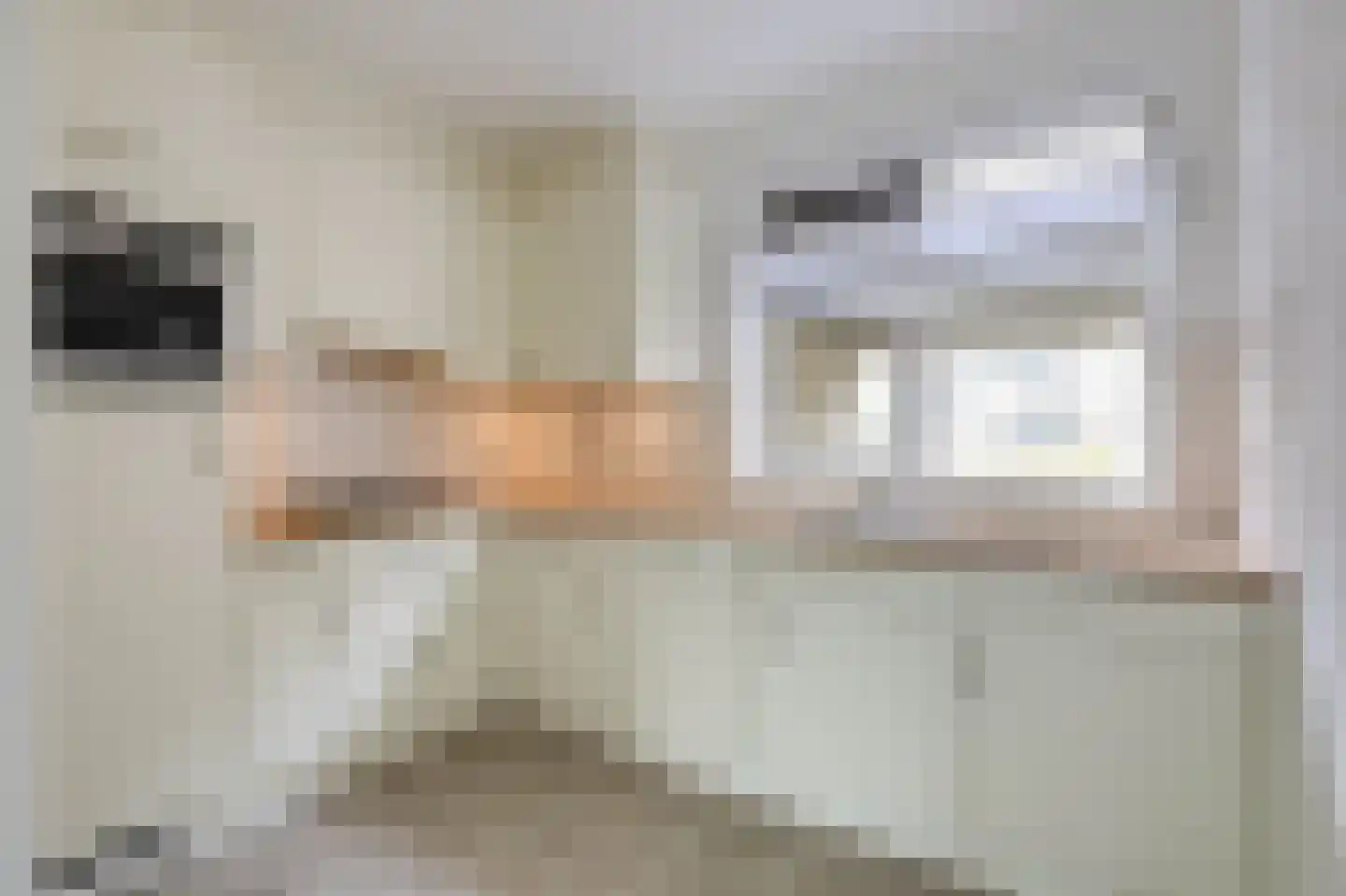 Zonegge 21 14 Zevenaar thumbnail 17