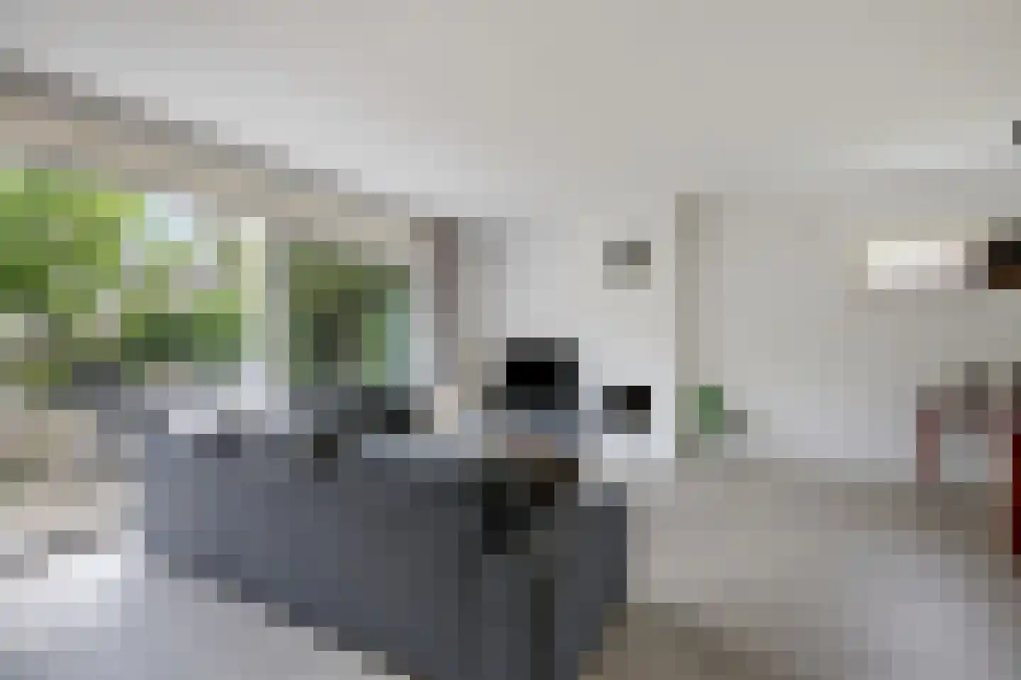 Zonegge 21 14 Zevenaar thumbnail 22