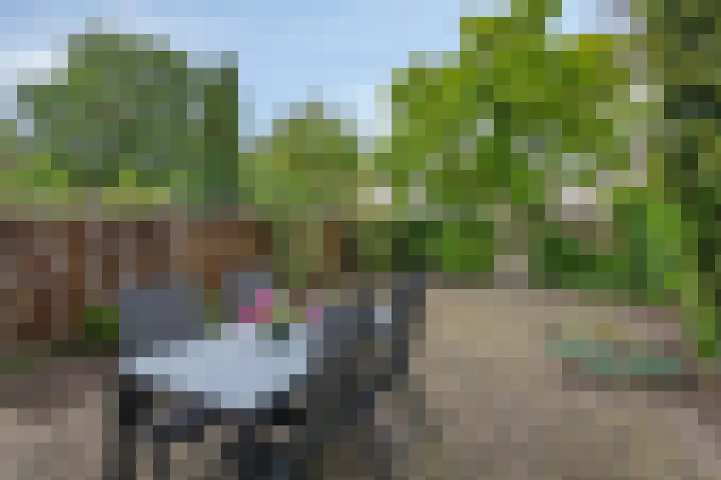 Zonegge 21 14 Zevenaar thumbnail 25