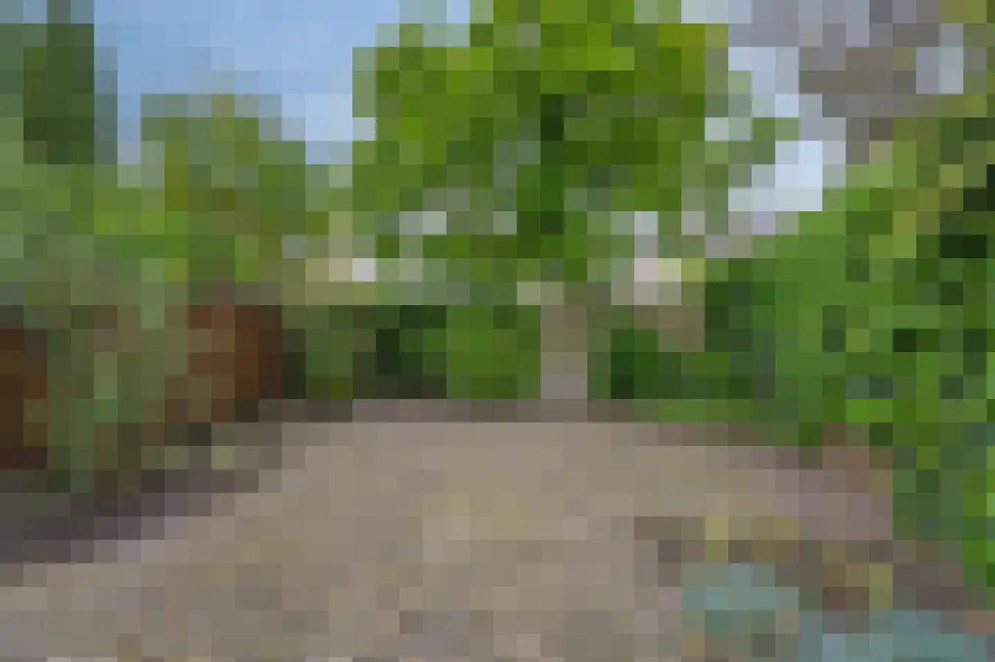 Zonegge 21 14 Zevenaar thumbnail 27