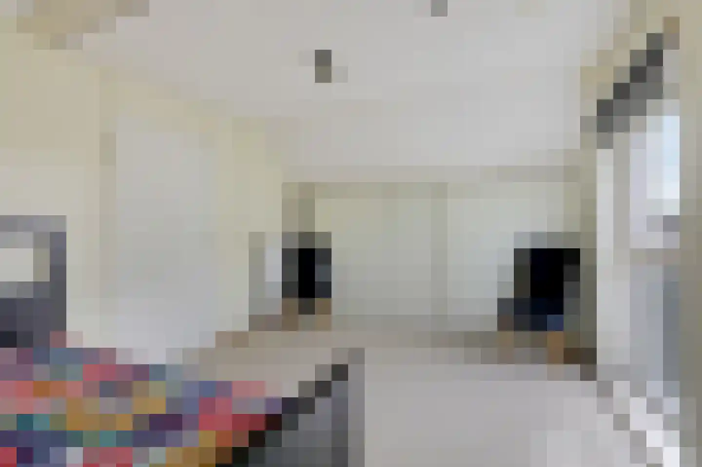 Zonegge 21 14 Zevenaar thumbnail 46
