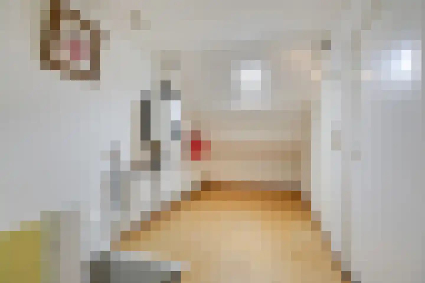 Zonegge 21 14 Zevenaar thumbnail 48
