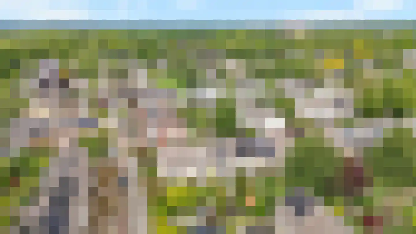 Zonegge 21 14 Zevenaar thumbnail 6