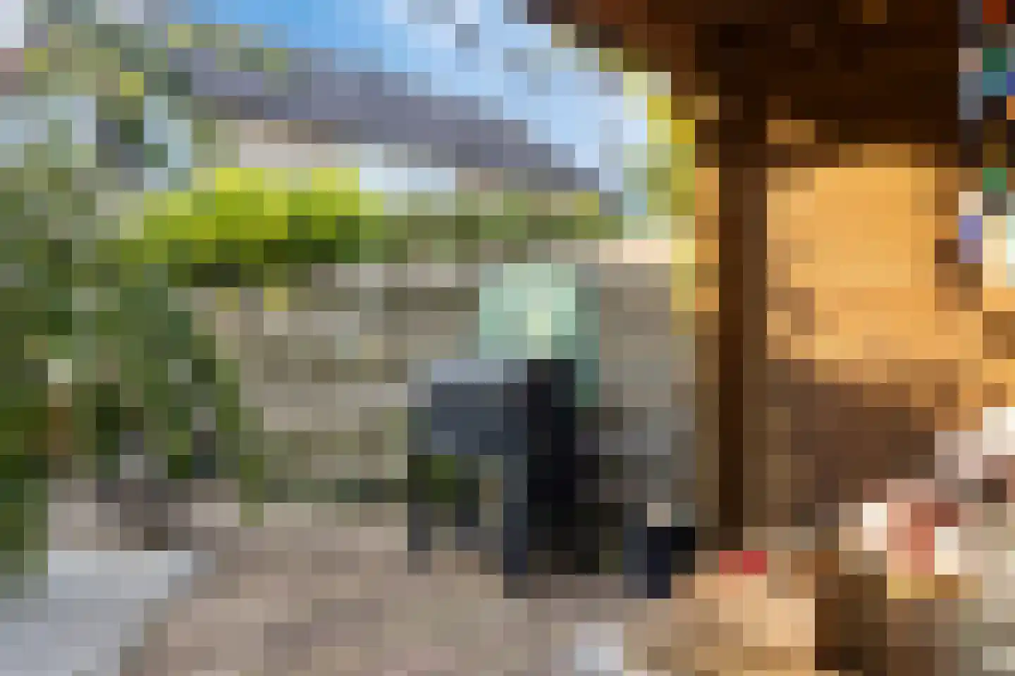 Zonegge 21 18 Zevenaar thumbnail 17