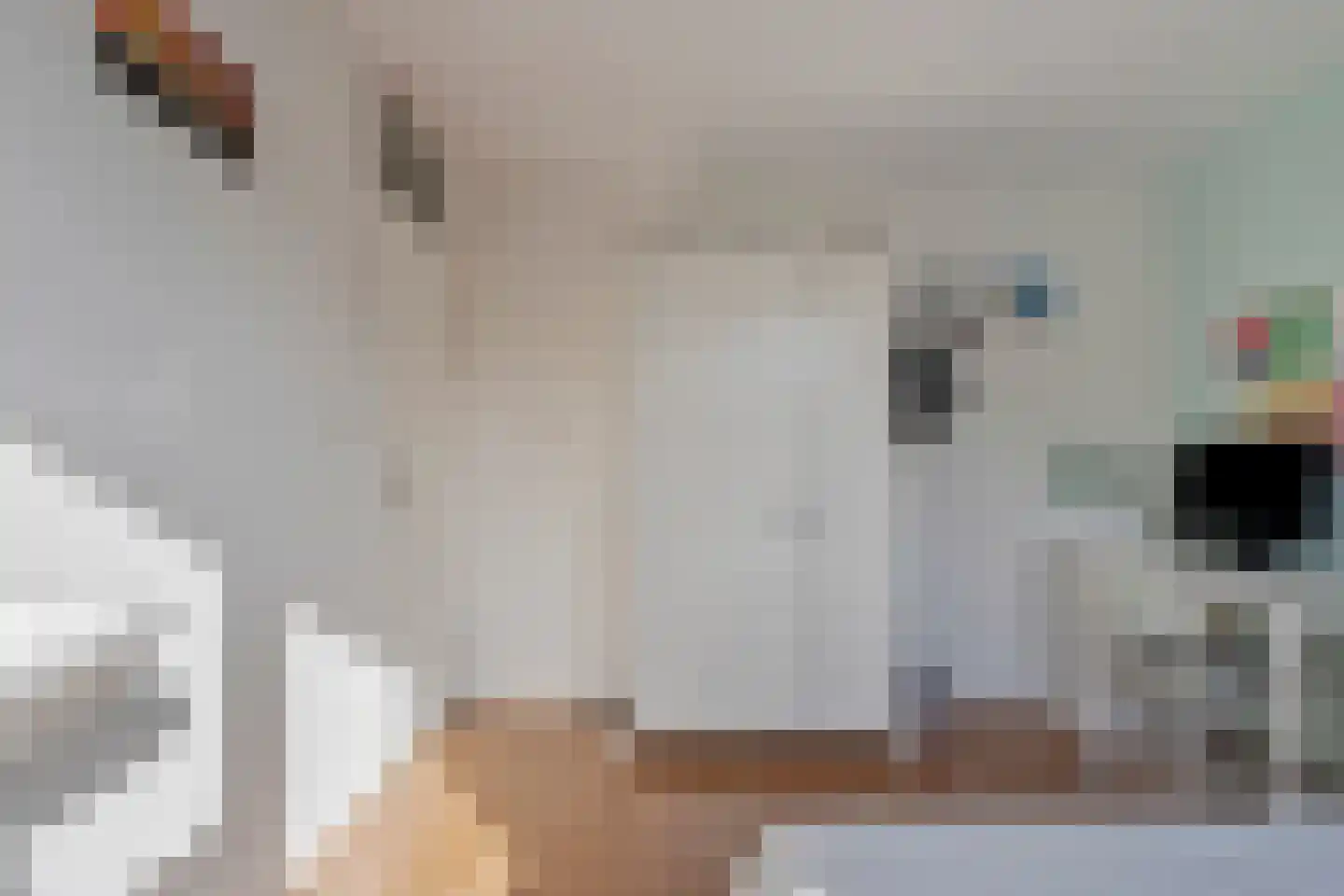 Zonegge 21 18 Zevenaar thumbnail 29