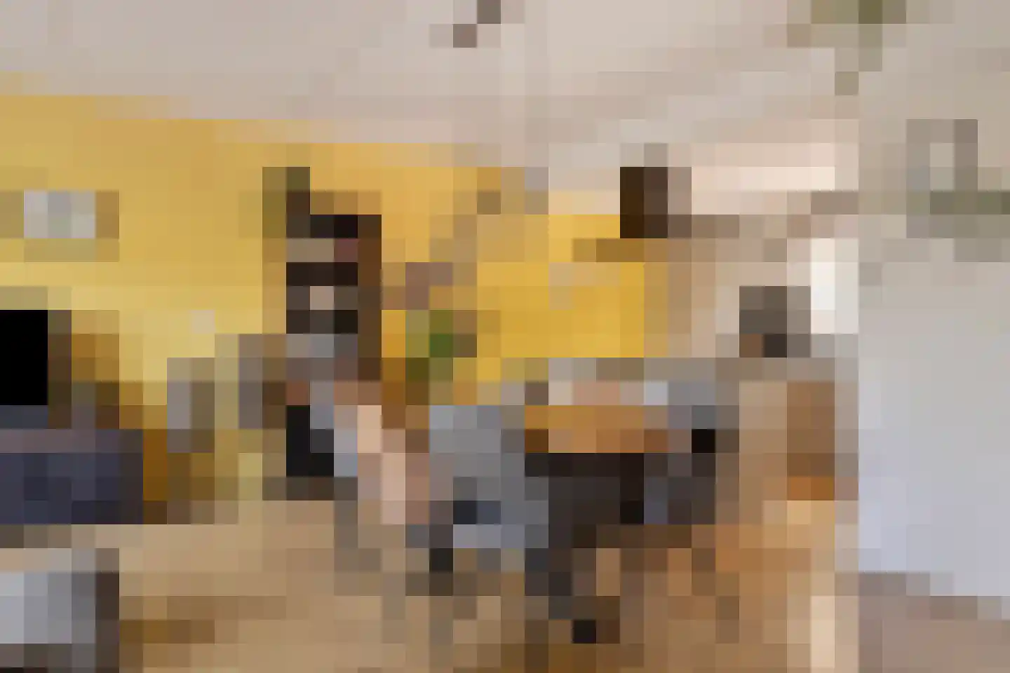 Zonegge 21 18 Zevenaar thumbnail 6