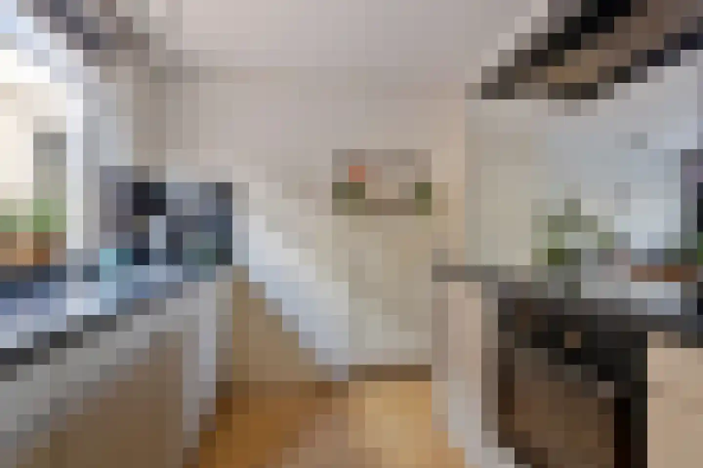Zonegge 21 18 Zevenaar thumbnail 7