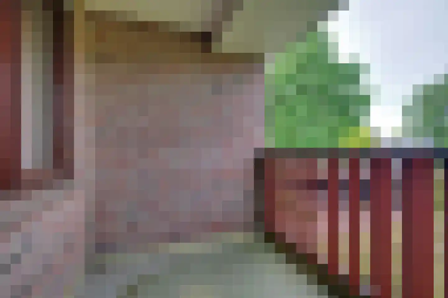 Zonegge 22 10 Zevenaar thumbnail 17