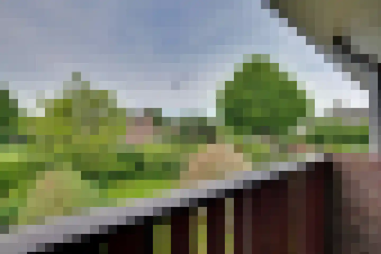 Zonegge 22 10 Zevenaar thumbnail 18