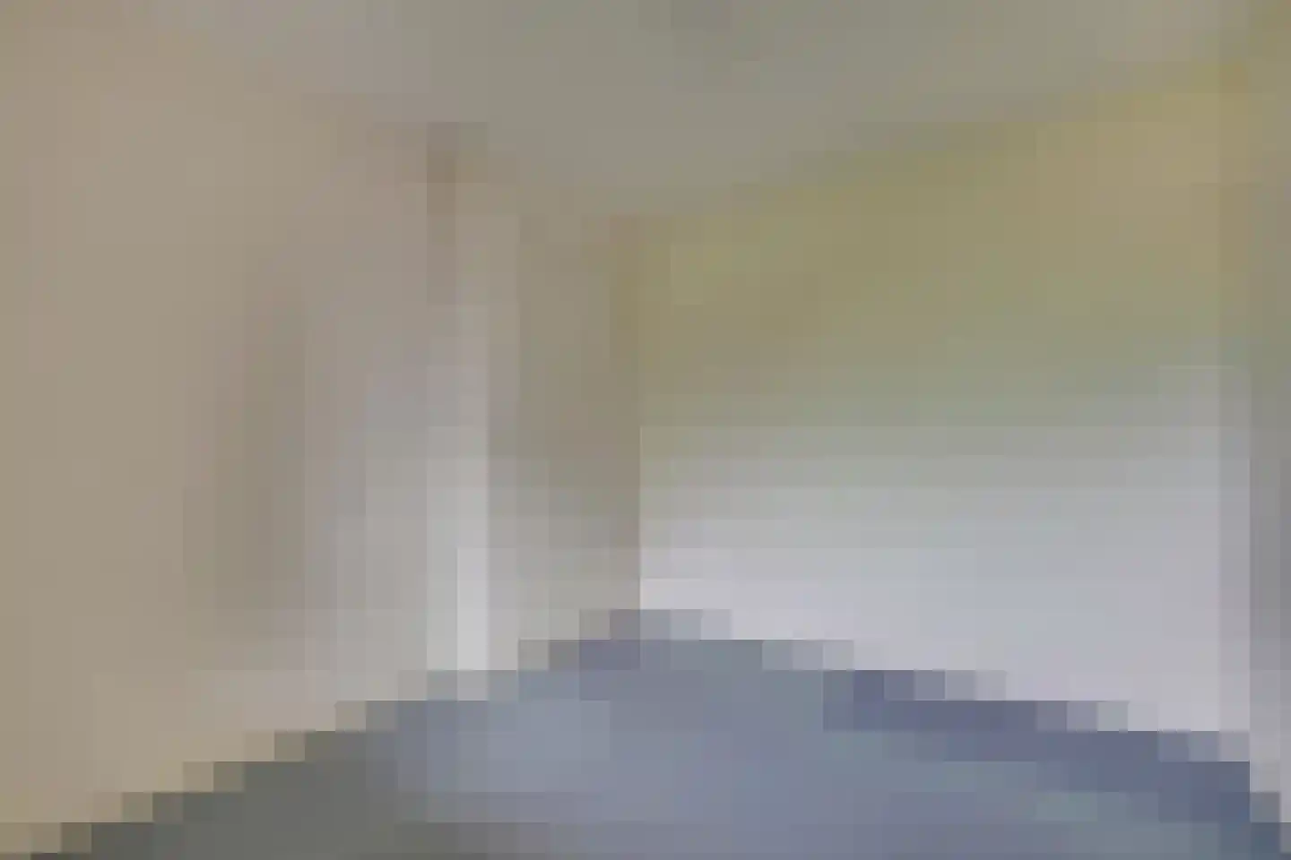 Zonegge 22 10 Zevenaar thumbnail 19
