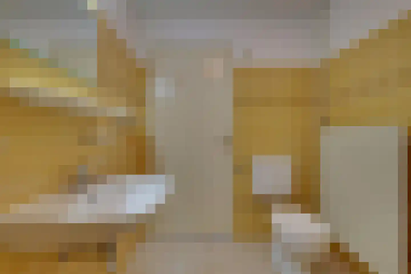 Zonegge 22 10 Zevenaar thumbnail 22