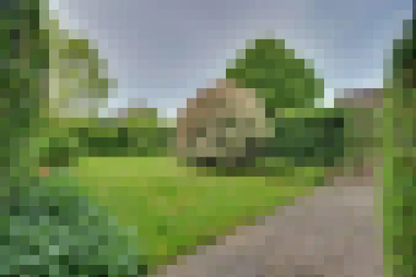 Zonegge 22 10 Zevenaar thumbnail 4