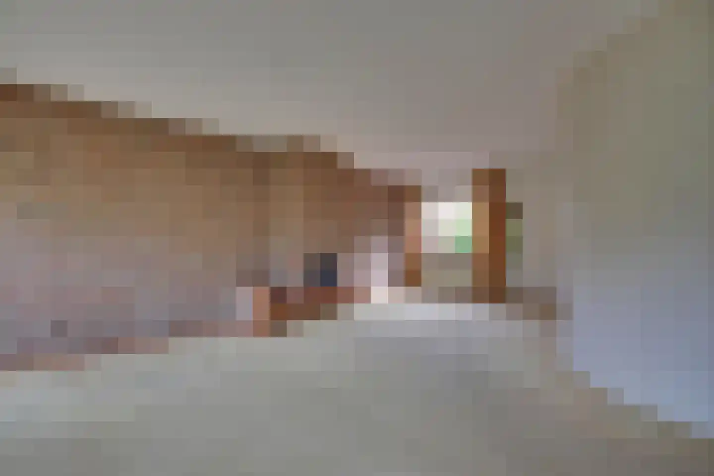 Zonegge 22 10 Zevenaar thumbnail 8