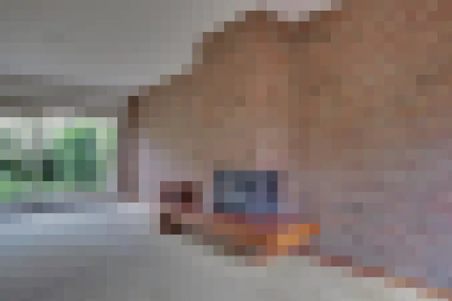 Zonegge 22 10 Zevenaar thumbnail 9