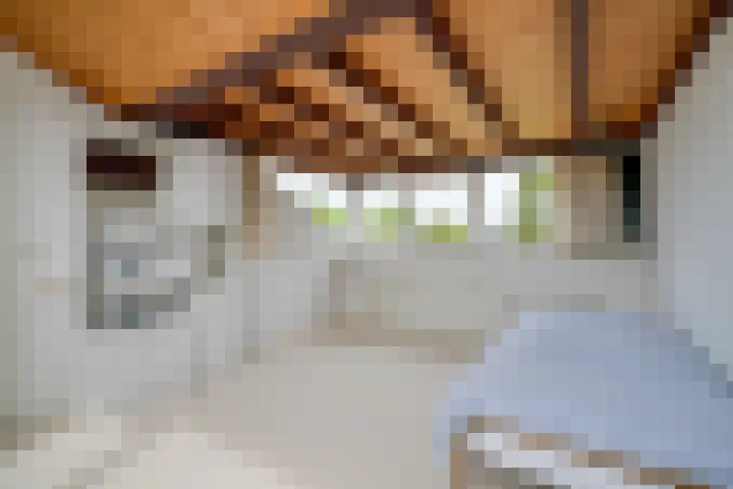 Zonhof 10 Maarn thumbnail 21