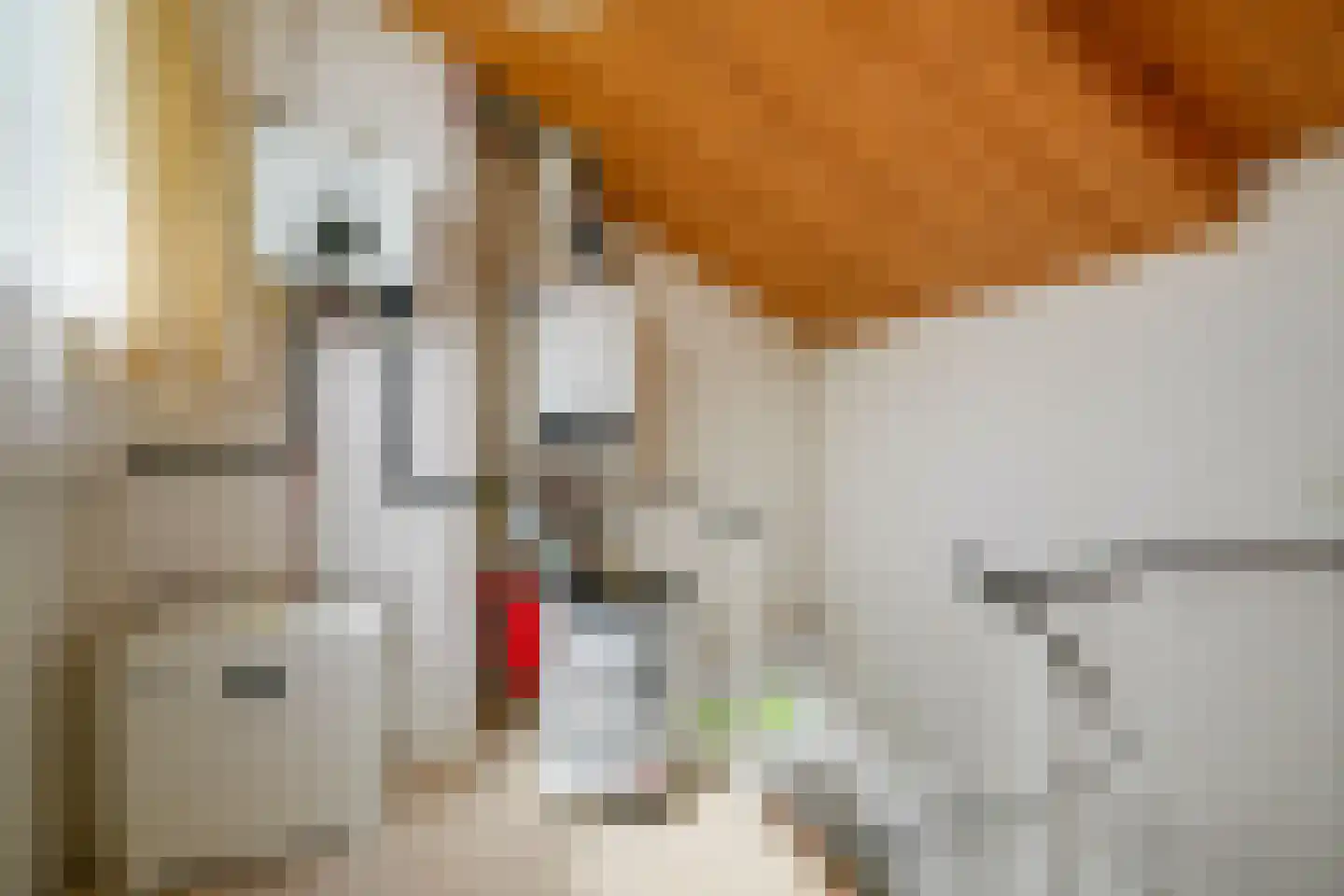 Zonhof 10 Maarn thumbnail 22