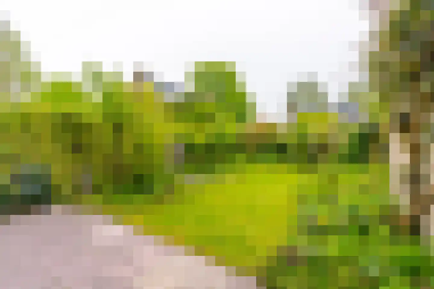 Zonhof 10 Maarn thumbnail 24