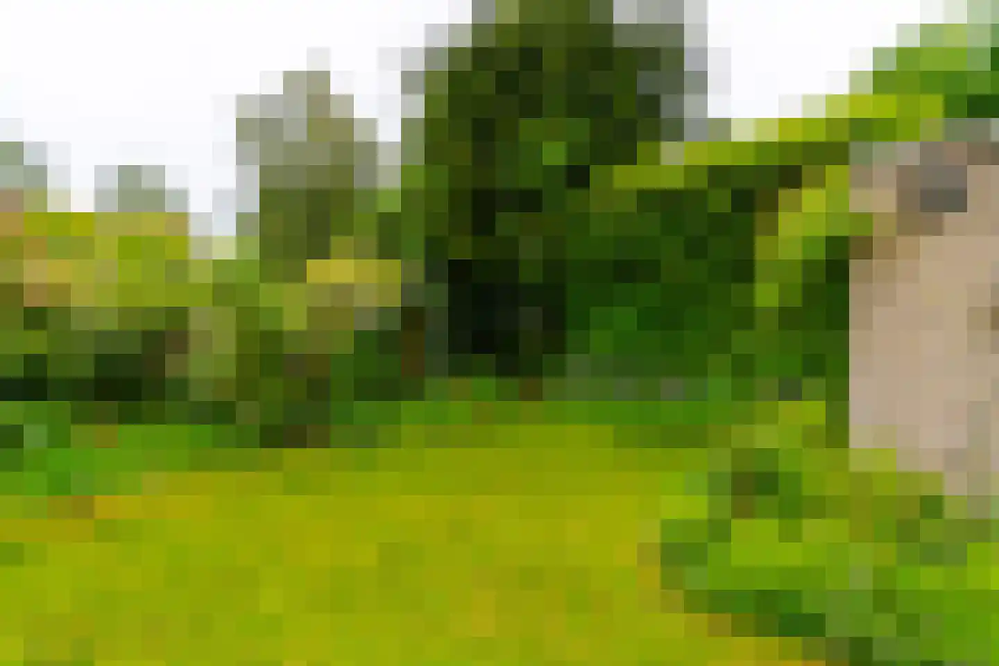 Zonhof 10 Maarn thumbnail 7