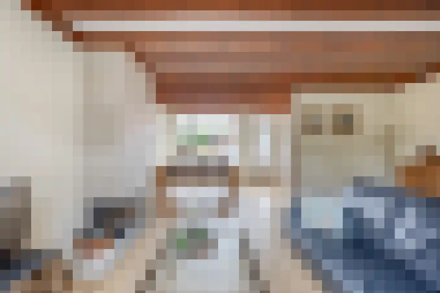Zonhof 26 Oude-Tonge thumbnail 11