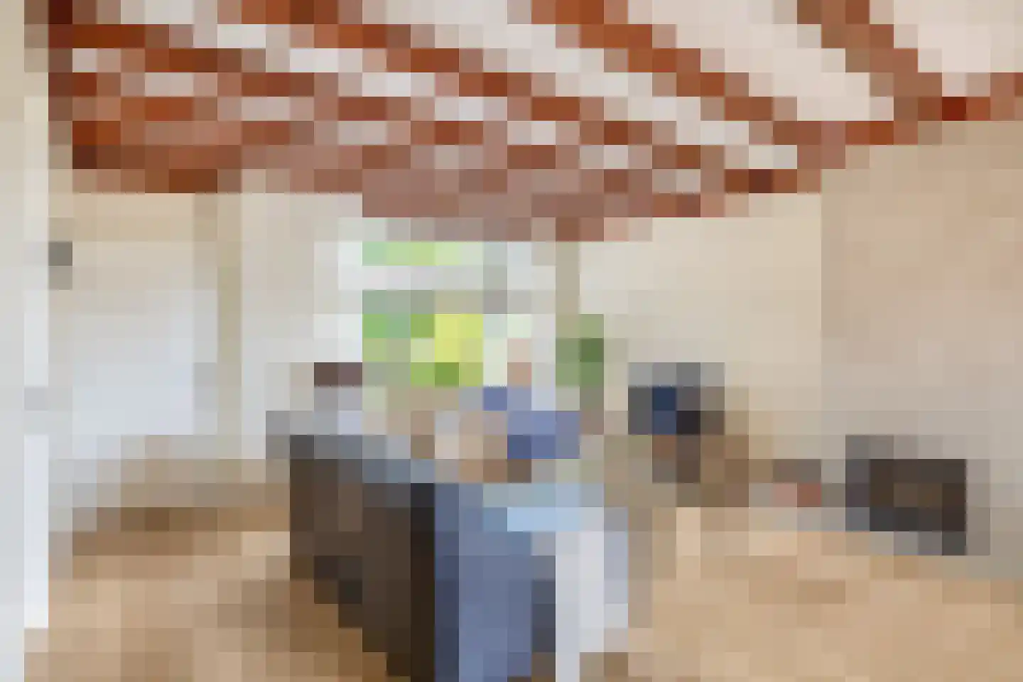 Zonhof 26 Oude-Tonge thumbnail 12