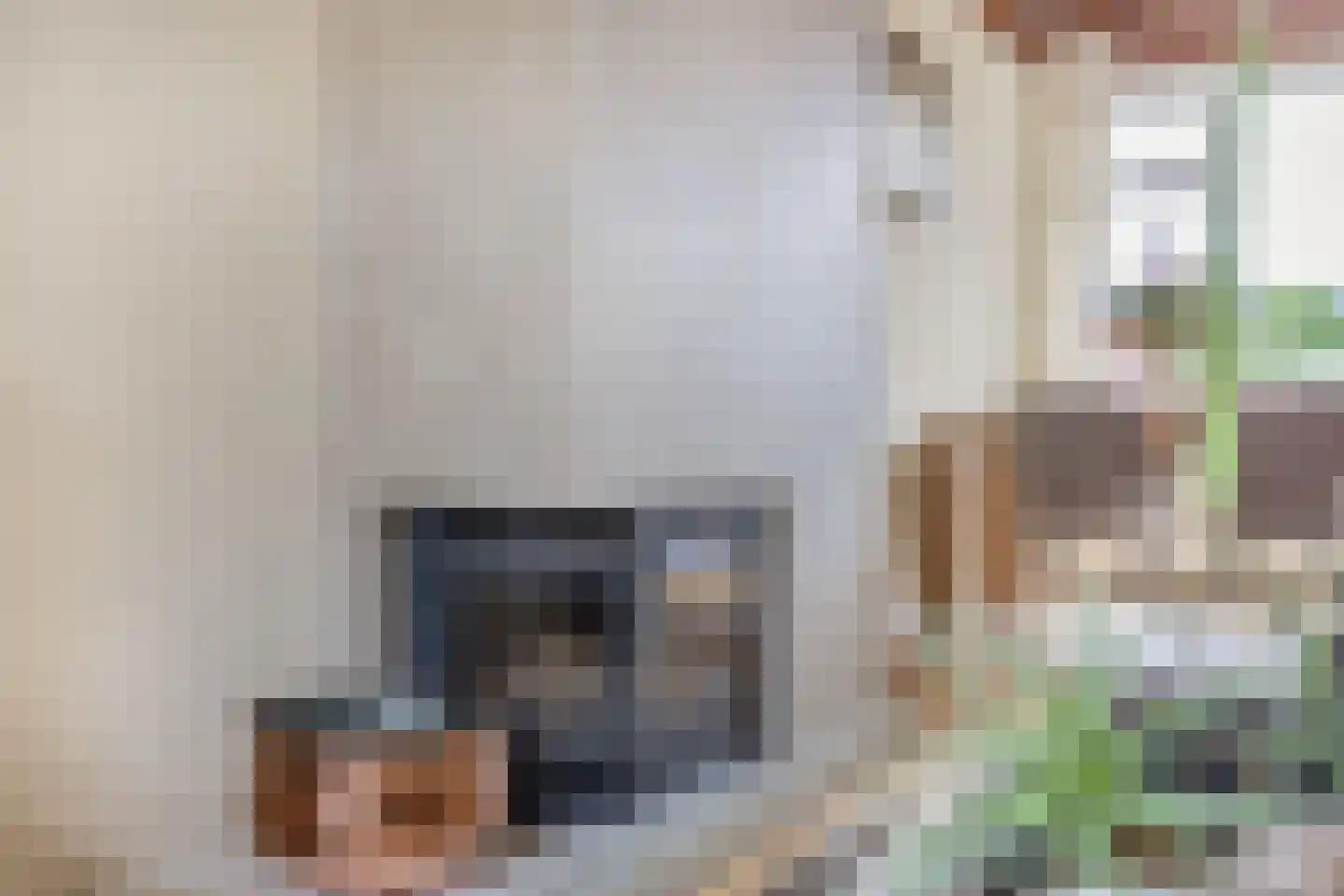 Zonhof 26 Oude-Tonge thumbnail 13
