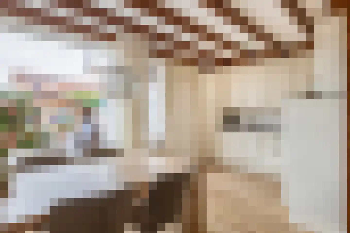 Zonhof 26 Oude-Tonge thumbnail 14