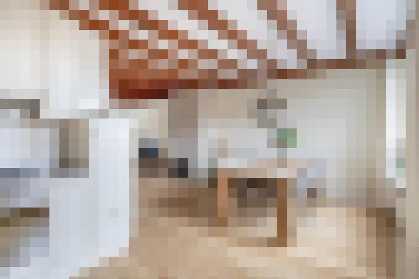 Zonhof 26 Oude-Tonge thumbnail 17