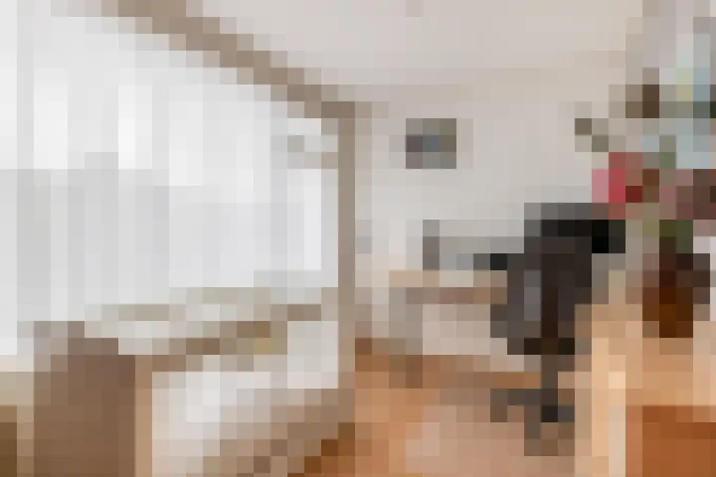 Zonhof 26 Oude-Tonge thumbnail 20