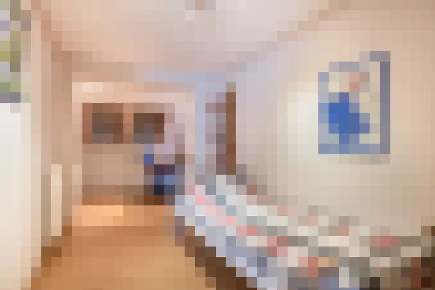 Zonhof 26 Oude-Tonge thumbnail 21