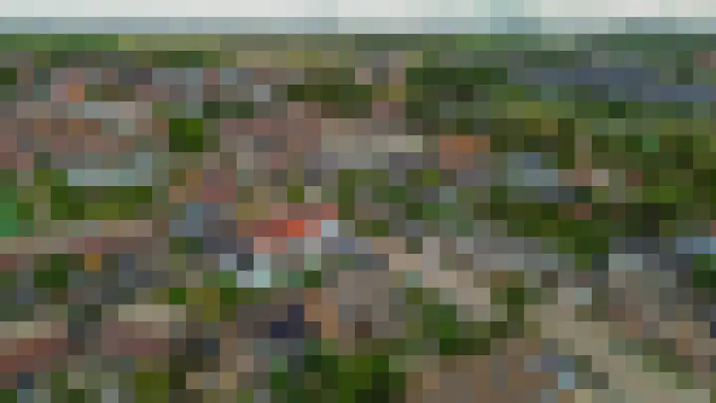 Zonhof 26 Oude-Tonge thumbnail 31