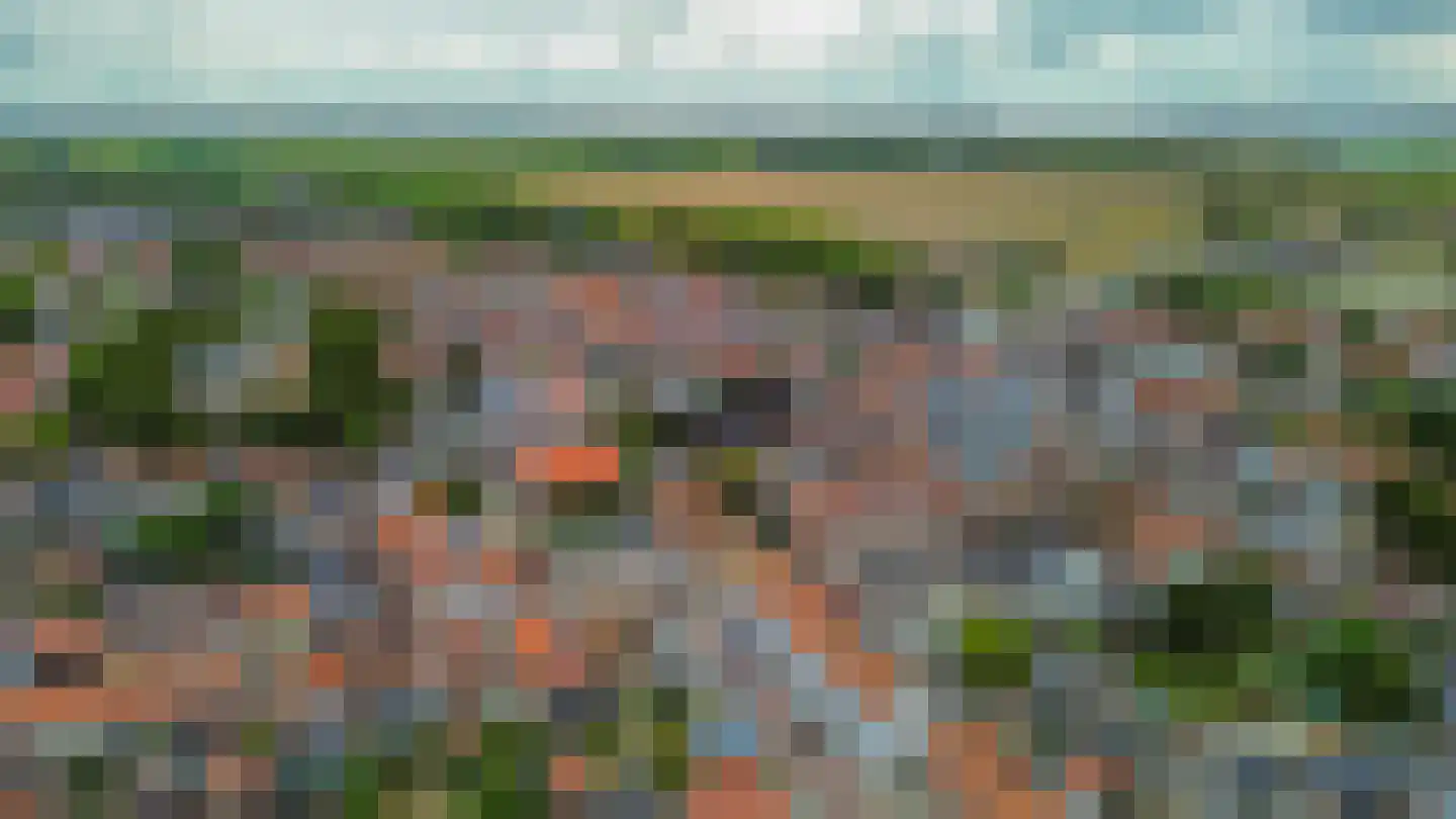 Zonhof 26 Oude-Tonge thumbnail 32