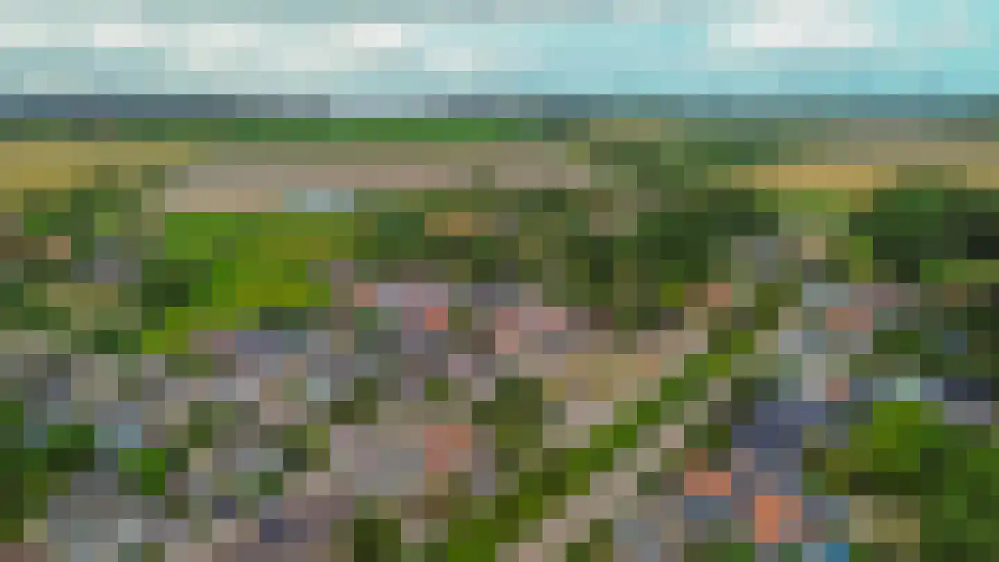 Zonhof 26 Oude-Tonge thumbnail 33
