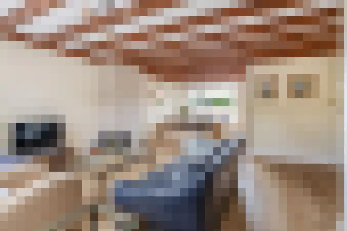 Zonhof 26 Oude-Tonge thumbnail 9