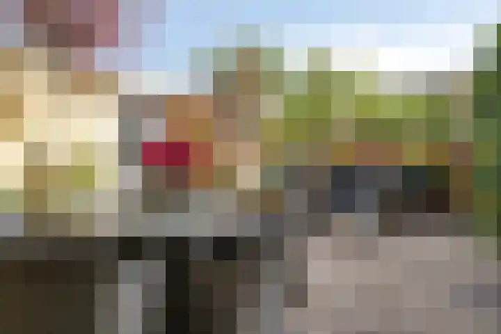 Zonhovenstraat 26 Amsterdam thumbnail 8