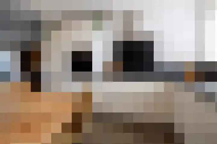 Zonland 107 Groningen thumbnail 14