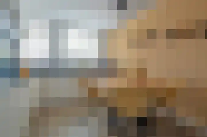 Zonland 107 Groningen thumbnail 18